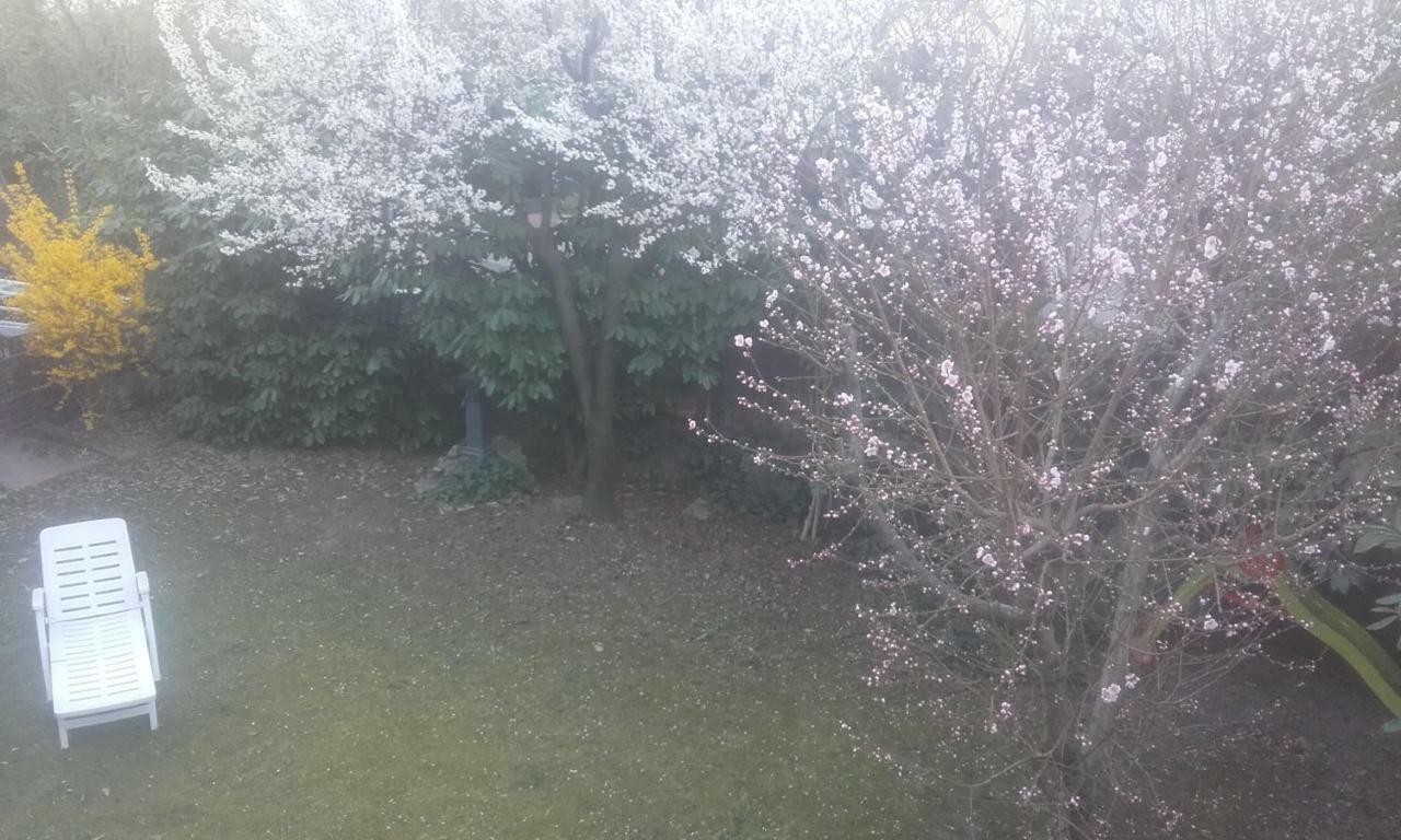 Appartamento Giardino Verde مودينا المظهر الخارجي الصورة